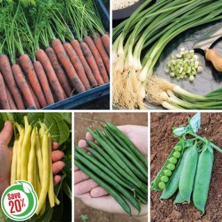 Hodge Podge Culinary Collection Thumbnail